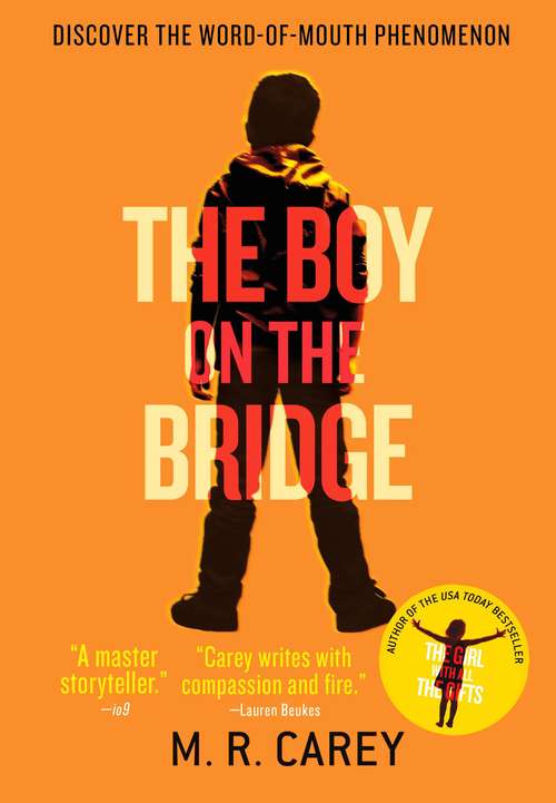 Book cover of The Boy on the Bridge