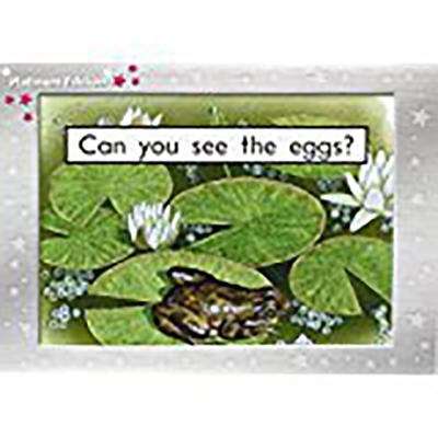 Book cover of Can You See The Eggs? (Rigby PM Platinum Collection: Magenta (Level 1-2))