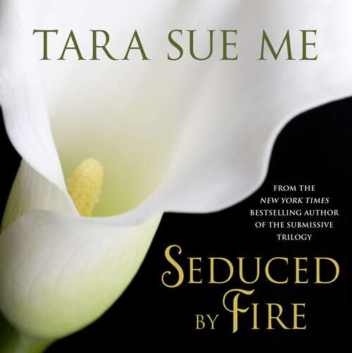 Book cover of Seduced By Fire: A Partners In Play Novel