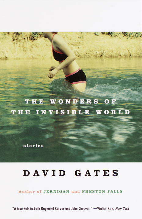 Book cover of The Wonders of the Invisible World