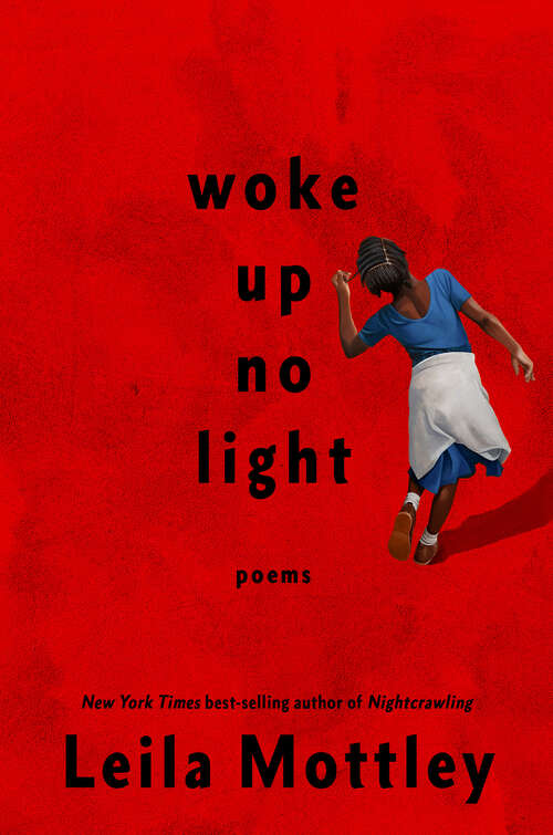 Book cover of woke up no light: poems