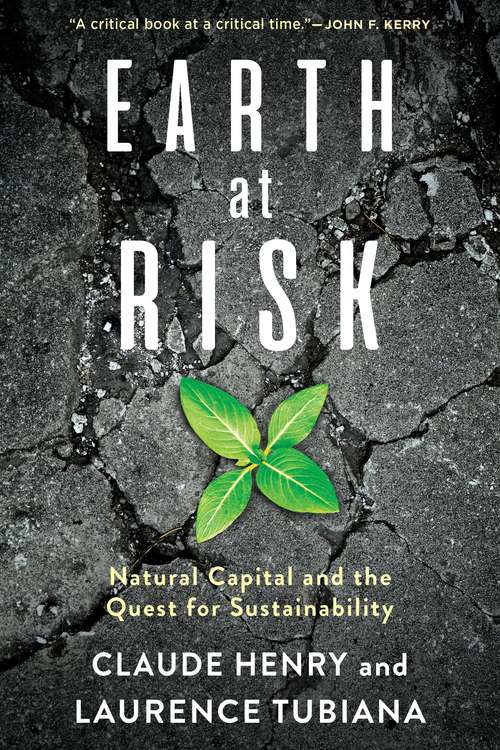 Earth at Risk: Natural Capital and the Quest for Sustainability