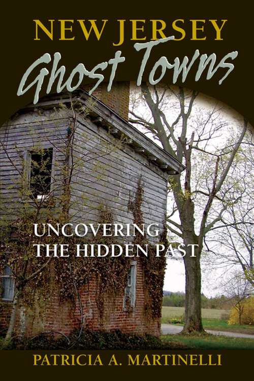 Book cover of New Jersey Ghost Towns