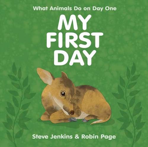 My First Day: What Animals Do On Day One