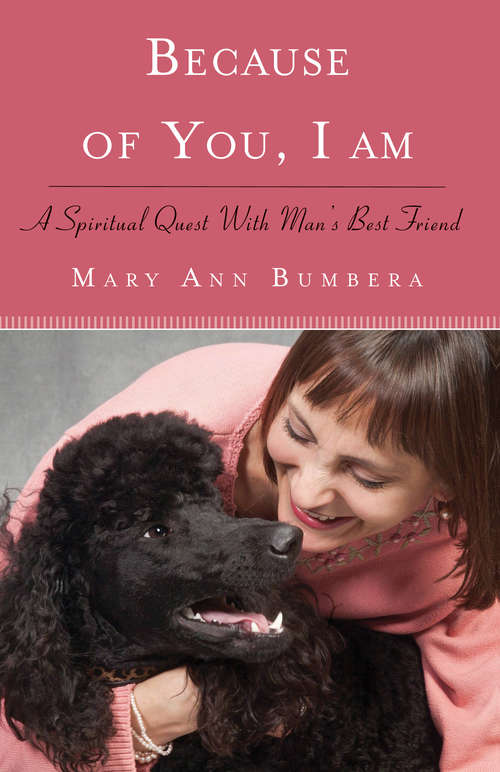 Book cover of Because of You, I Am