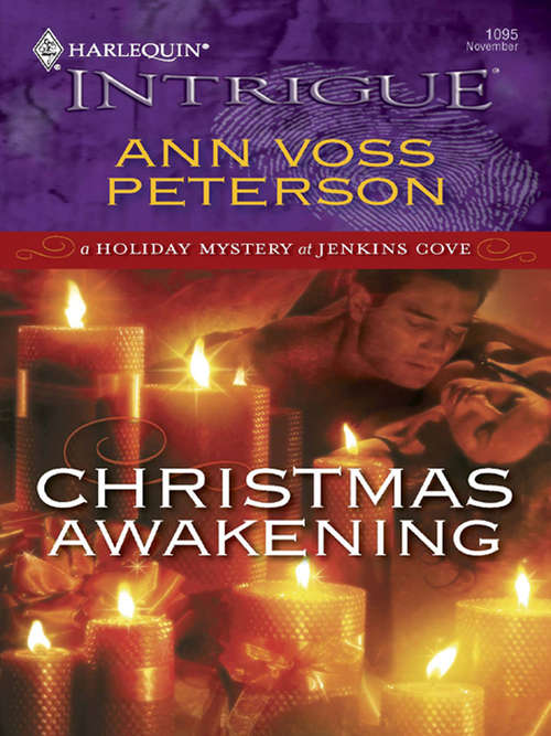 Book cover of Christmas Awakening