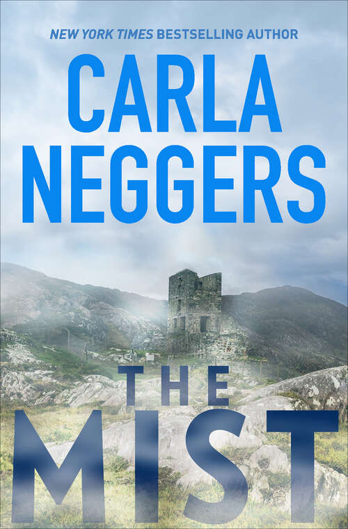 Book cover of The Mist: The Widow The Angel The Mist The Whisper (The Ireland Series #3)