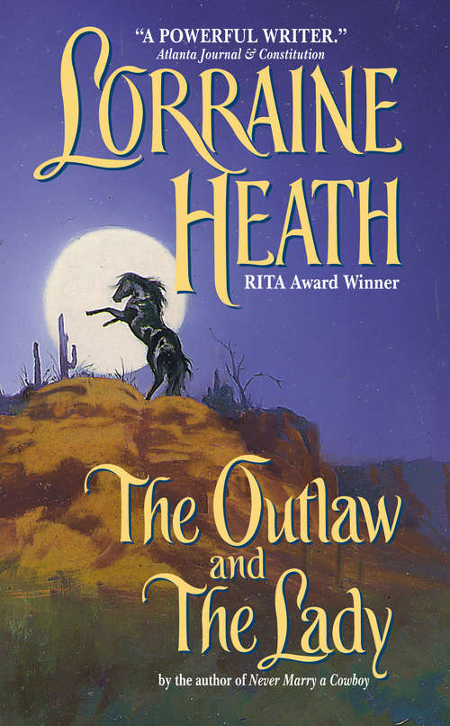 Book cover of The Outlaw and the Lady