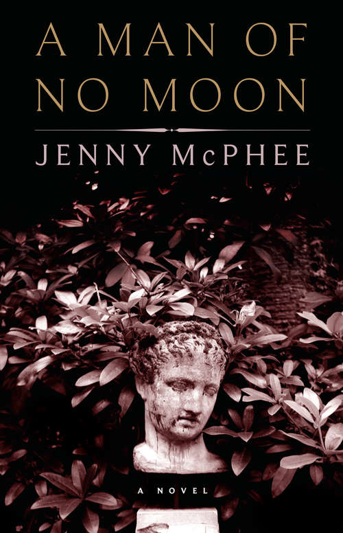 Book cover of A Man of No Moon: A Novel