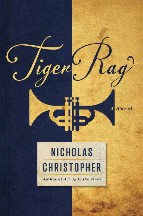 Book cover of Tiger Rag: A Novel