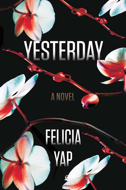 Book cover of Yesterday: How Do You Solve A Murder When You Only Remember...