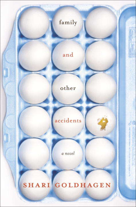 Book cover of Family and Other Accidents