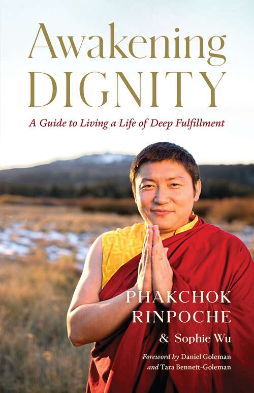 Book cover of Awakening Dignity: A Guide to Living a Life of Deep Fulfillment