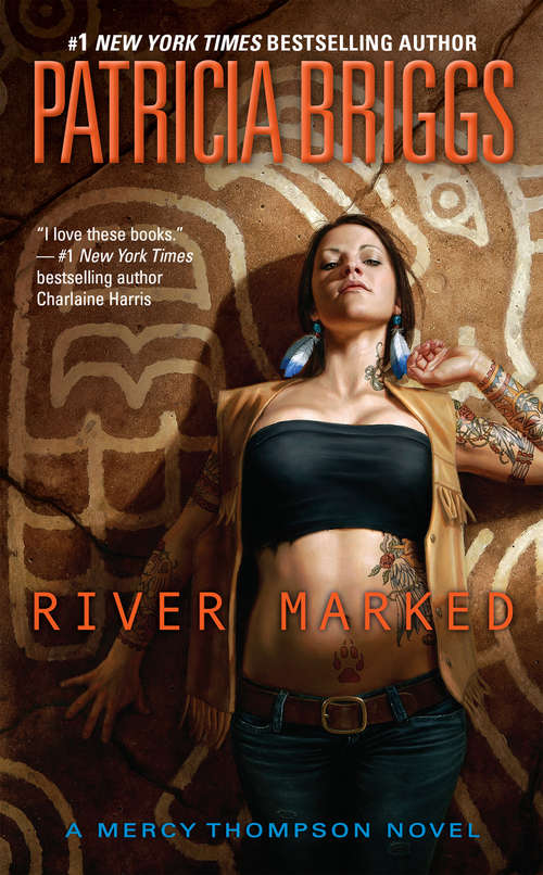 Book cover of River Marked