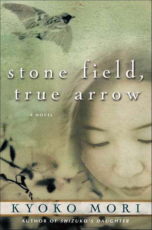 Book cover of Stone Field, True Arrow: A Novel