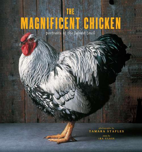 Book cover of The Magnificent Chicken