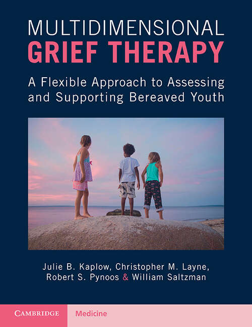 Book cover of Multidimensional Grief Therapy: A Flexible Approach to Assessing and Supporting Bereaved Youth