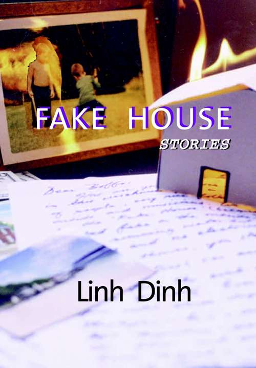 Book cover of Fake House: Stories