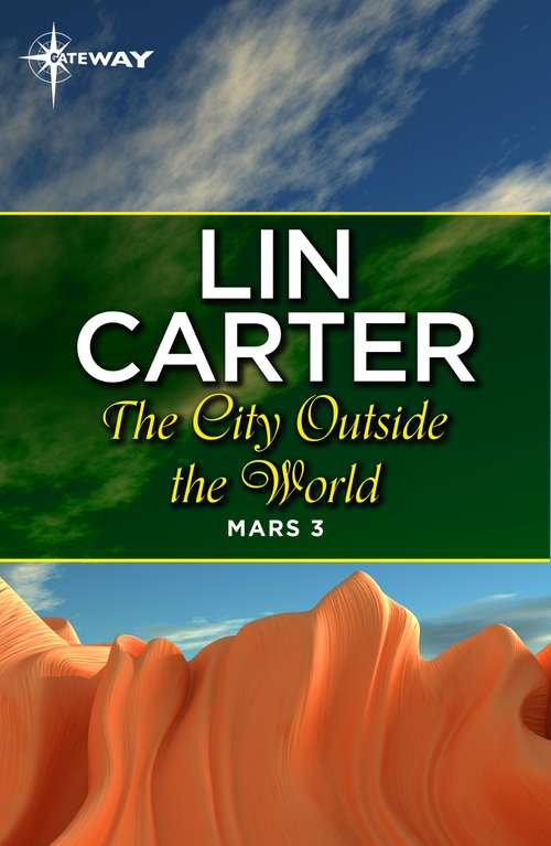 Book cover of The City Outside the World