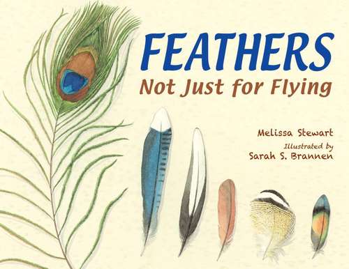 Book cover of Feathers: Not Just For Flying