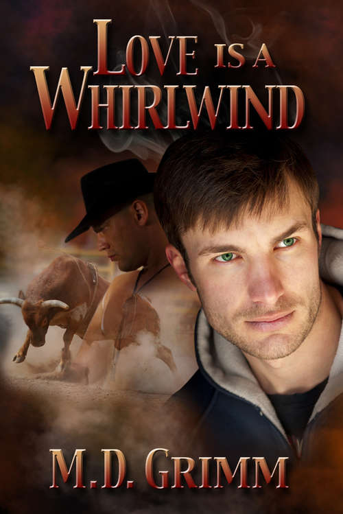 Love Is a Whirlwind (The Shifters #2)