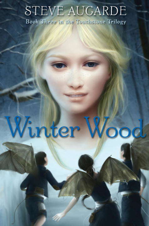 Book cover of Winter Wood