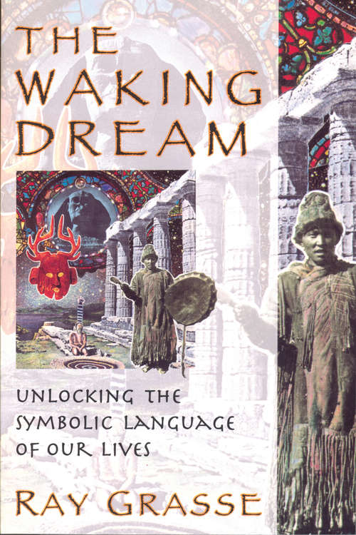 Book cover of The Waking Dream