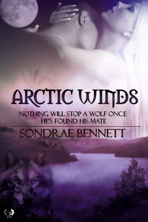 Book cover of Arctic Winds