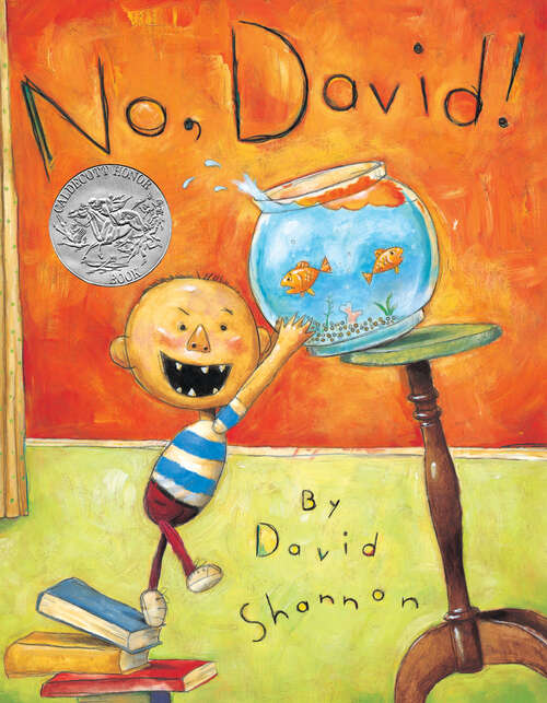 Book cover of No, David!