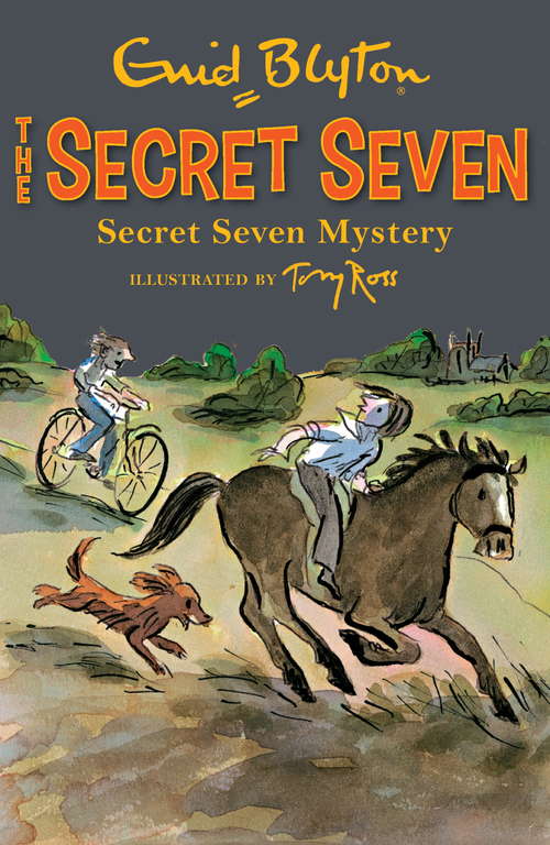 Book cover of Secret Seven Mystery: Book 9 (Secret Seven #9)