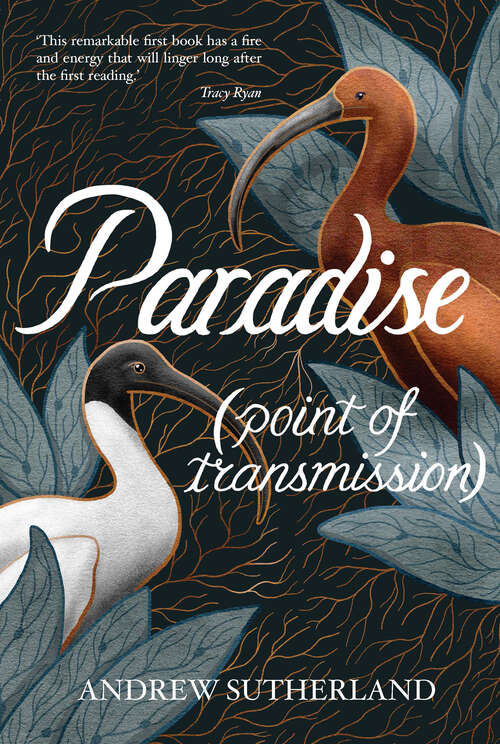 Book cover of Paradise (point of transmission)