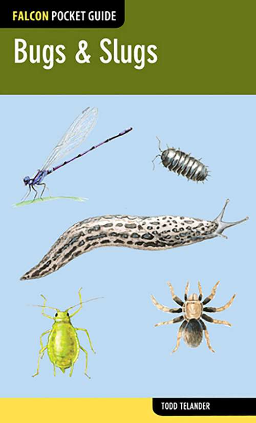 Book cover of Bugs & Slugs (1st Edition) (Falcon Pocket Guides)