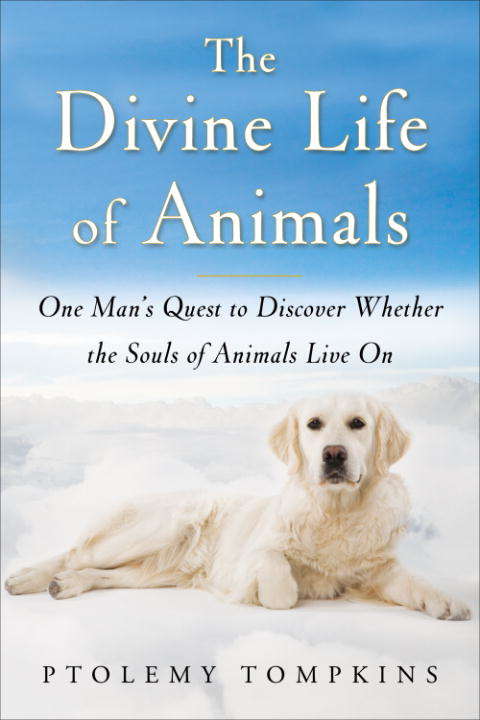 Book cover of The Divine Life of Animals: One Man's Quest to Discover Whether the Souls of Animals Live on