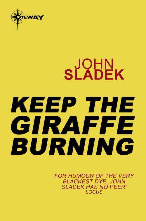 Book cover of Keep The Giraffe Burning