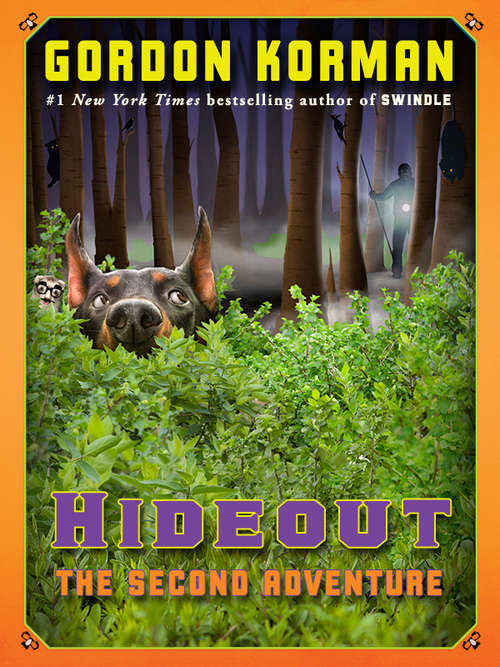 Book cover of Hideout: The Second Adventure (Limited Time Offer, Thru 12/31/12)