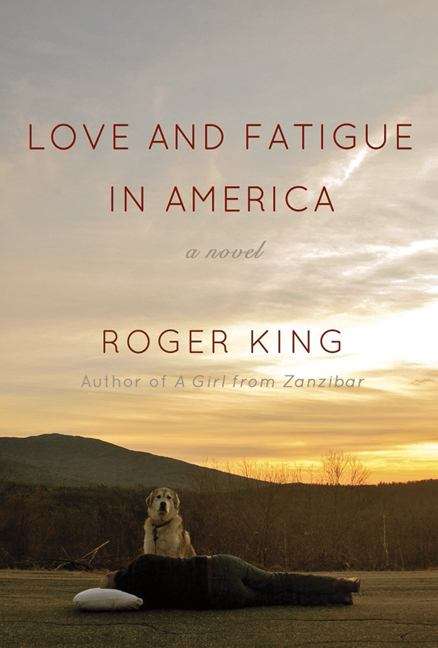 Book cover of Love and Fatigue in America