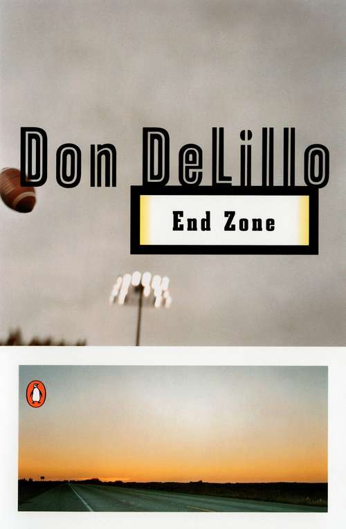 Book cover of End Zone