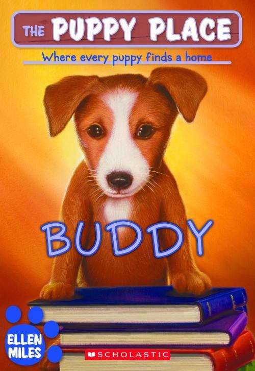 Book cover of Buddy (The Puppy Place #5)