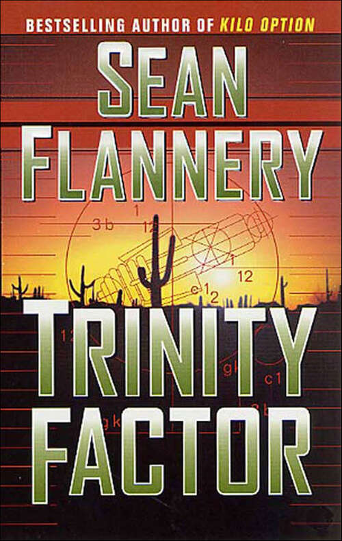 Book cover of Trinity Factor