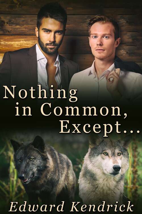 Book cover of Nothing In Common, Except ... (Torso Tackle #3)