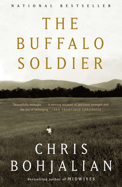 Book cover of The Buffalo Soldier