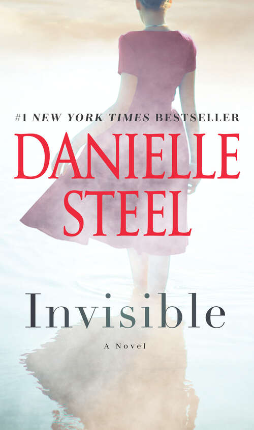 Book cover of Invisible: A Novel