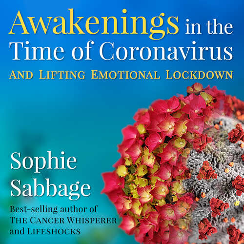 Book cover of Awakenings in the Time of Coronavirus: And Lifting Emotional Lockdown