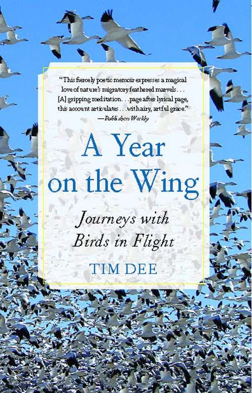 Book cover of Year on the Wing