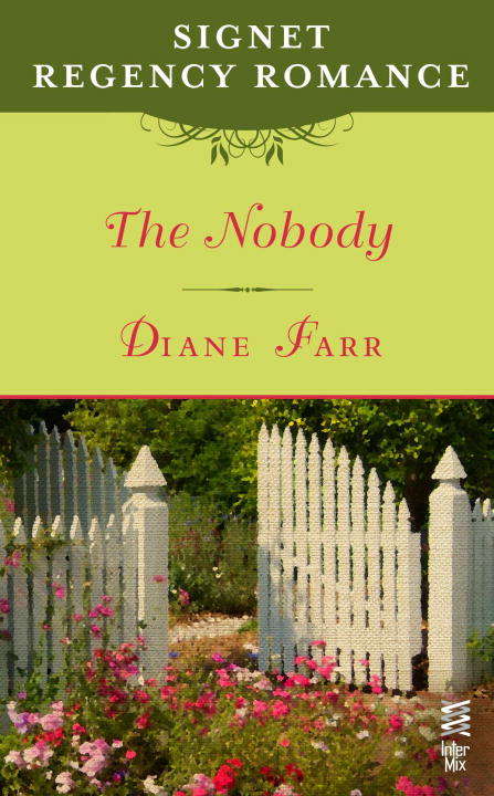 Book cover of The Nobody