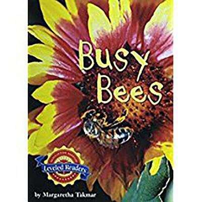 Book cover of Busy Bees  (Houghton Mifflin Reading Leveled Readers)