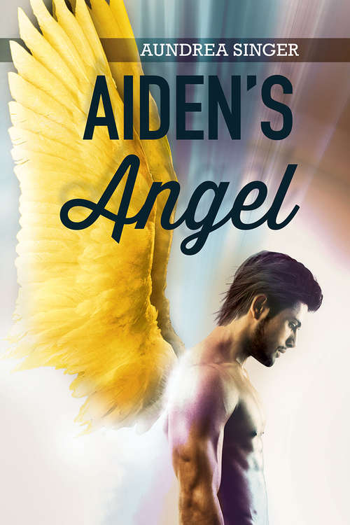 Book cover of Aiden's Angel