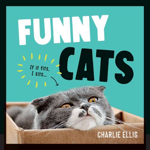 Funny Cats: A Hilarious Collection of the World’s Funniest Felines and Most Relatable Memes
