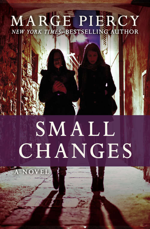 Small Changes: A Novel