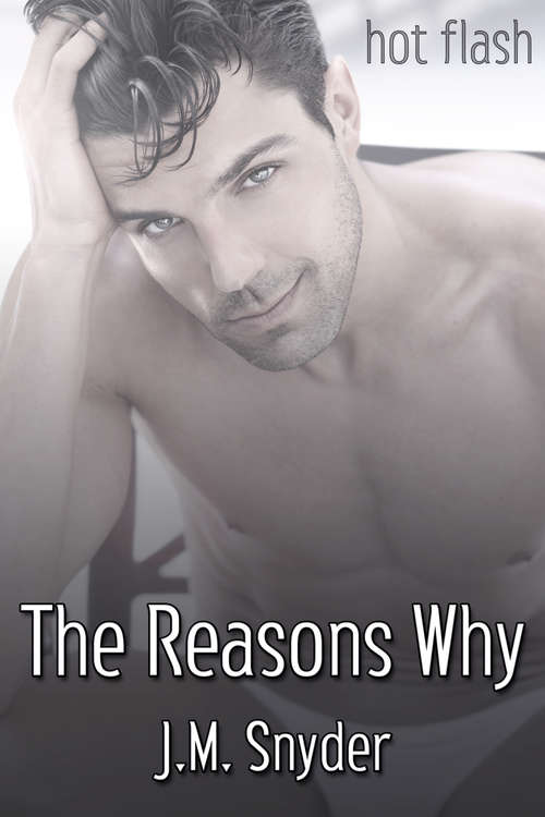 Book cover of The Reasons Why (Hot Flash)